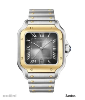 Cartier Santos Steel Gold Watch