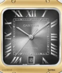 Cartier Santos Steel Gold Watch